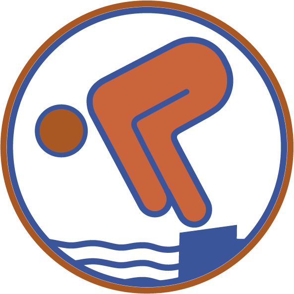 Schwimmabzeichen Bronze mit freundlicher Genehmigung des Bundesverbandes zur Förderung der Schwimmausbildung