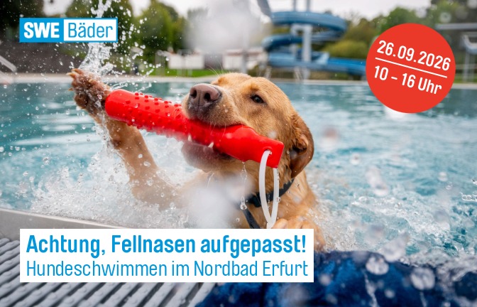 Foto: Hund im Wasser mit Wasserspielzeug; Textfeld: Achtung, Fellnasen aufgepasst: Hundeschwimmen im Nordbad Erfurt / 20.09.2026, 10 - 16 Uhr